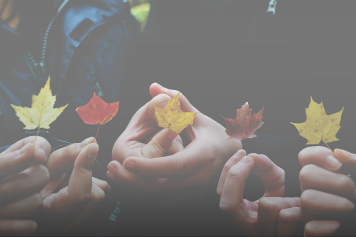 Внутрикорпоративная система для сбора и оценки идей и инициатив
            сотрудников компании